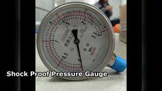 100 mm 4" WSZYSTKIE SS 0-2,5 MPa