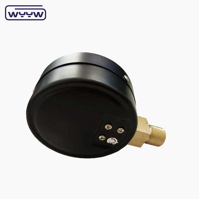 Kapsuła Ciśnienioznacznik 100 Mbar Bellows Manometer 100mm G1/2&quot;
