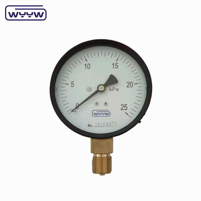 Kapsuła Ciśnienioznacznik 100 Mbar Bellows Manometer 100mm G1/2&quot;