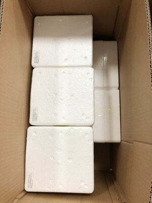 6" 0-1.6MPa Zdalny Manometr – Dokładność 1.6% | Odczyty w czasie rzeczywistym