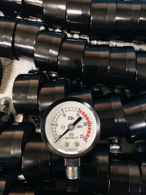Measurement Range 0-100 Mpa Economy Pressure Gauge Suitable for Oxygen CO2 Applications No Oil Dry Type Durable and Performance